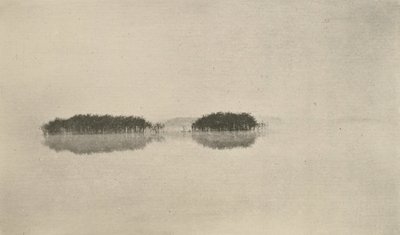 The Lone Lagoon by Peter Henry Emerson